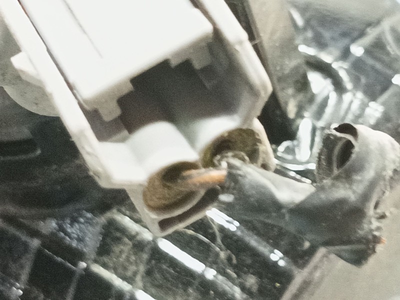 Recambio de faro antiniebla izquierdo para kia picanto iii (ja) 1.0 referencia OEM IAM   