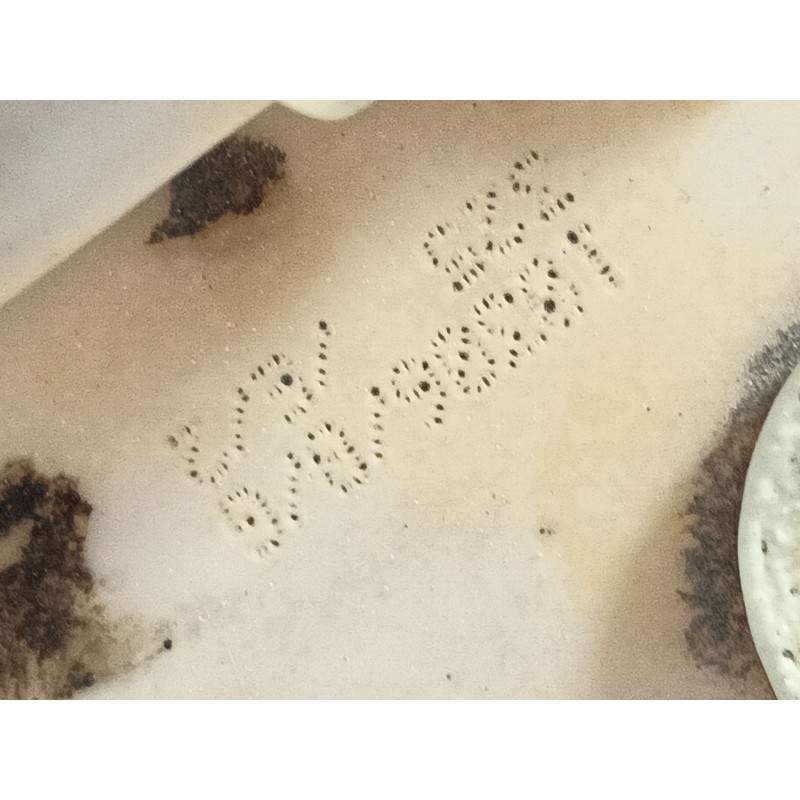 Recambio de aforador para citroën c3 sx referencia OEM IAM   