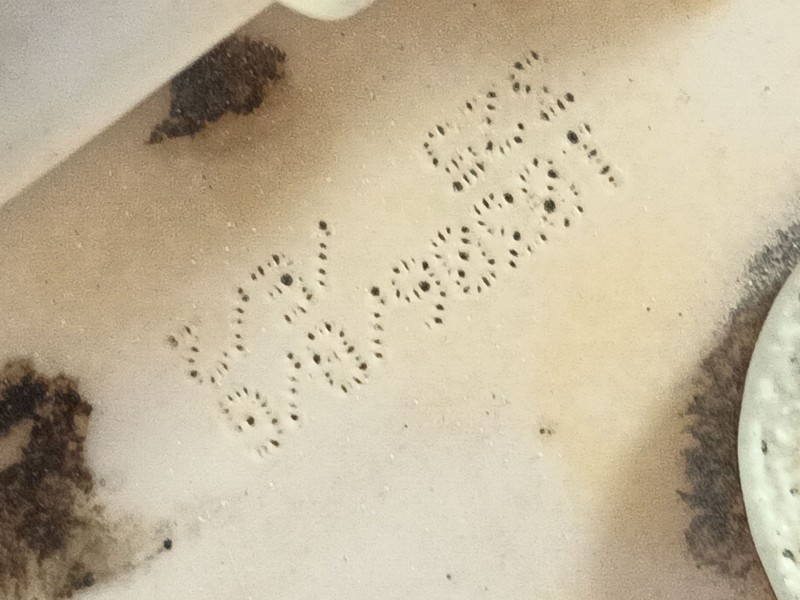 Recambio de aforador para citroën c3 sx referencia OEM IAM   