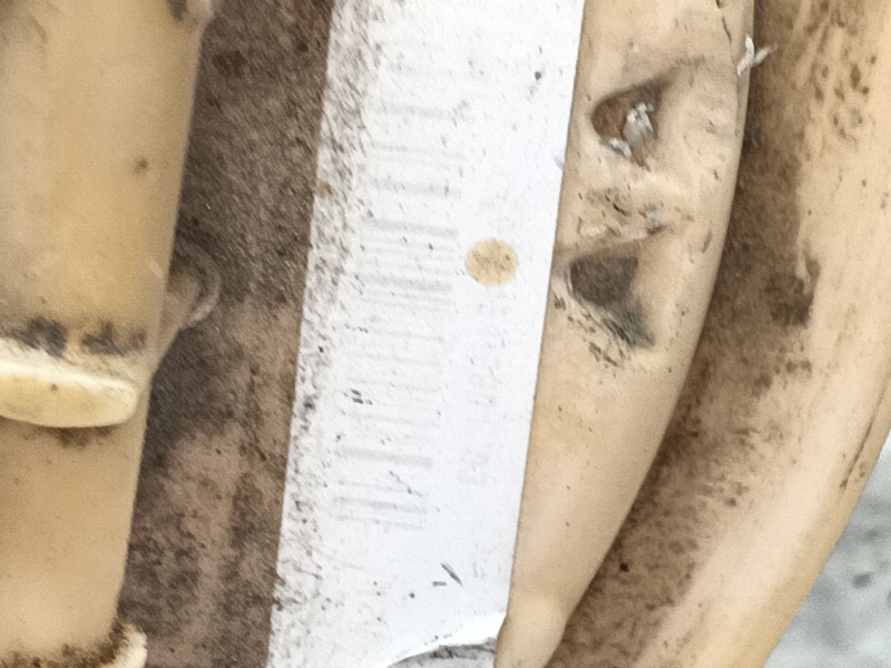 Recambio de aforador para citroën c3 sx referencia OEM IAM   