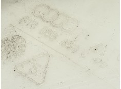 Recambio de deposito limpia para audi a5 (8t3) 1.8 tfsi referencia OEM IAM    2