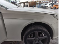 Recambio de aleta delantera derecha para mercedes-benz cls (c219) cls 320 cdi (219.322) referencia OEM IAM   