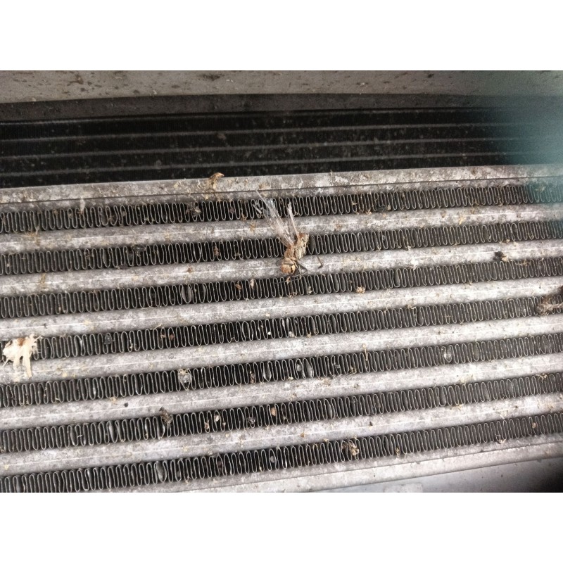 Recambio de intercooler para mercedes-benz cls (c219) cls 320 cdi (219.322) referencia OEM IAM   