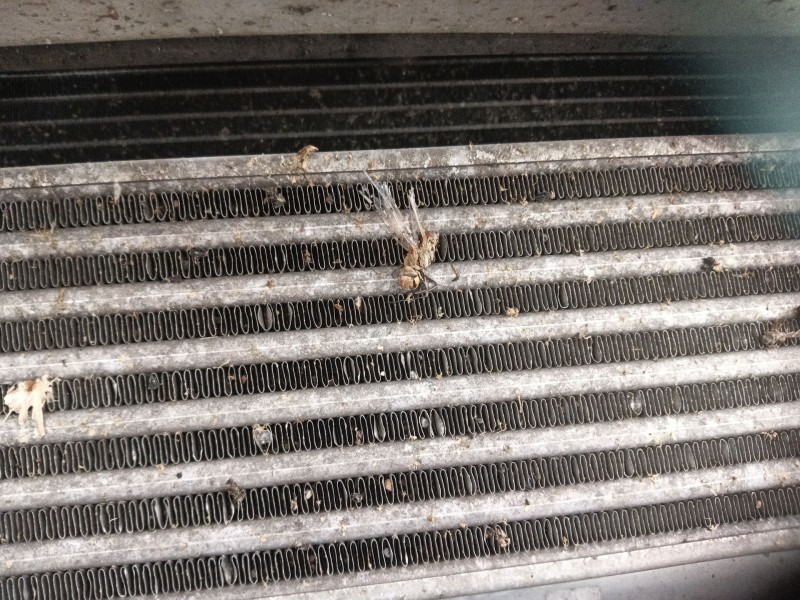 Recambio de intercooler para mercedes-benz cls (c219) cls 320 cdi (219.322) referencia OEM IAM   