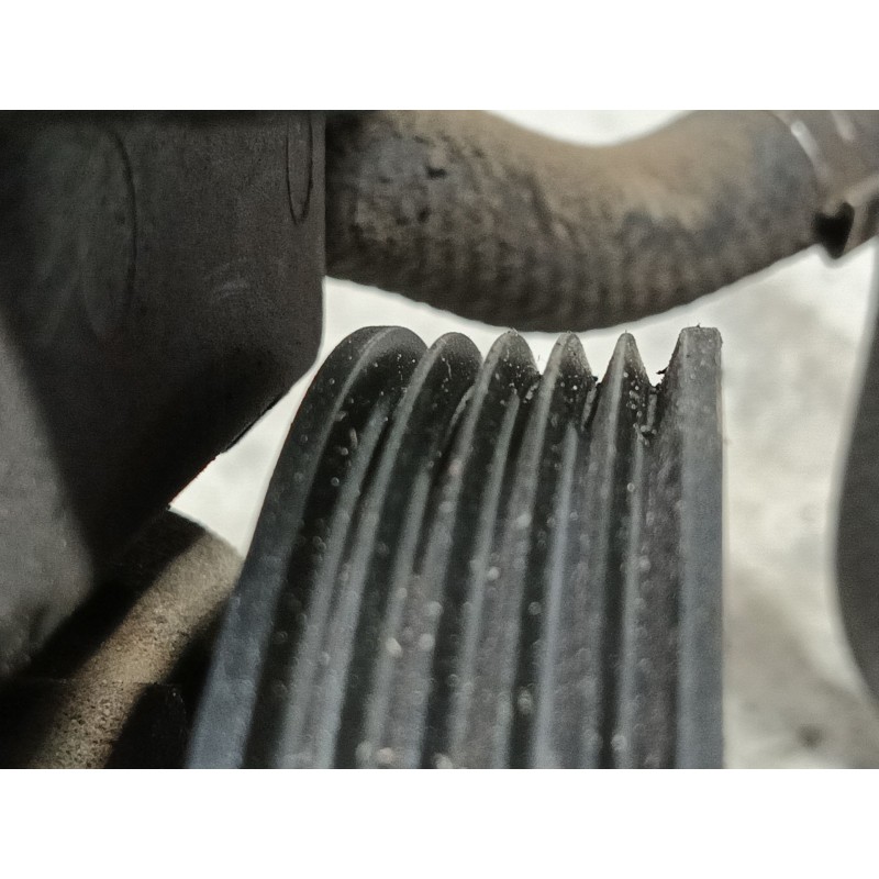 Recambio de bomba direccion para bmw serie 5 berlina (e39) 525d referencia OEM IAM   