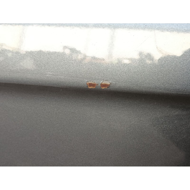 Recambio de puerta trasera izquierda para bmw 7 (e65, e66, e67) 730 ld referencia OEM IAM   