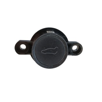 INTERRUPTOR PORTON TRASERO 164741300A D39231280001439 