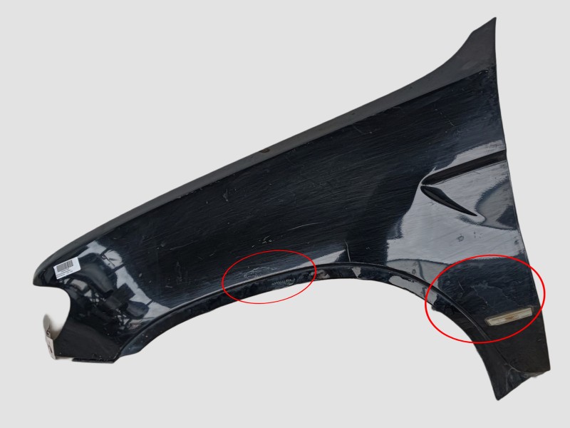 Recambio de aleta delantera izquierda para bmw x5 (e53) 3.0d referencia OEM IAM  65713P247B 