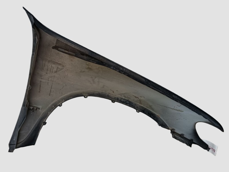 Recambio de aleta delantera izquierda para bmw x5 (e53) 3.0d referencia OEM IAM  65713P247B 