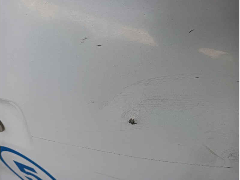 Recambio de aleta delantera derecha para nissan interstar furgoneta (x70) dci 100 referencia OEM IAM   