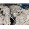 Recambio de bomba freno para dacia sandero iii 1.0 tce 90 referencia OEM IAM 460114755R 460912995R 