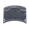 Recambio de capot para jeep grand cherokee iii (wh, wk) 3.0 crd 4x4 referencia OEM IAM 55394496AD  