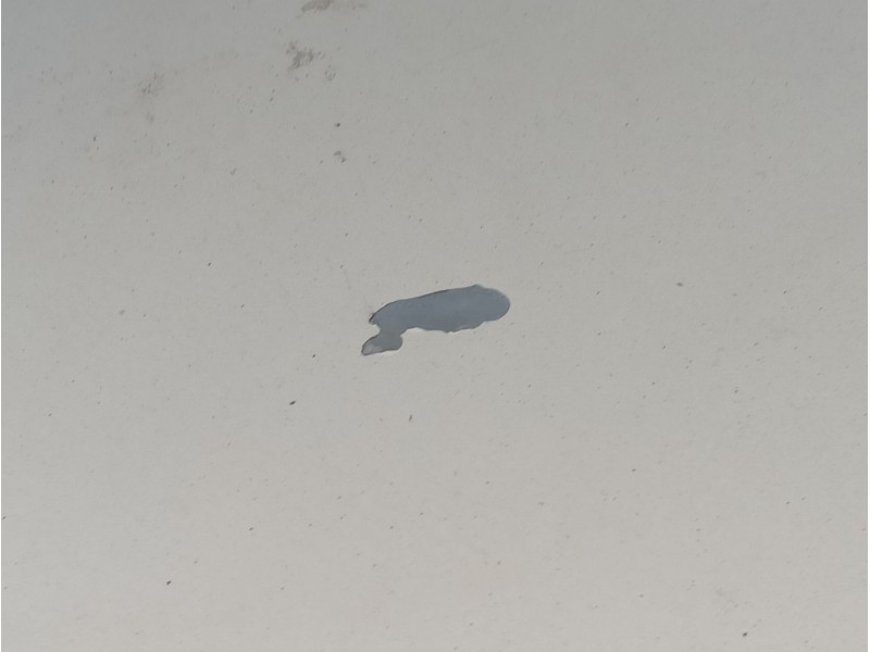 Recambio de capot para opel zafira / zafira family b (a05) 1.9 cdti (m75) referencia OEM IAM   