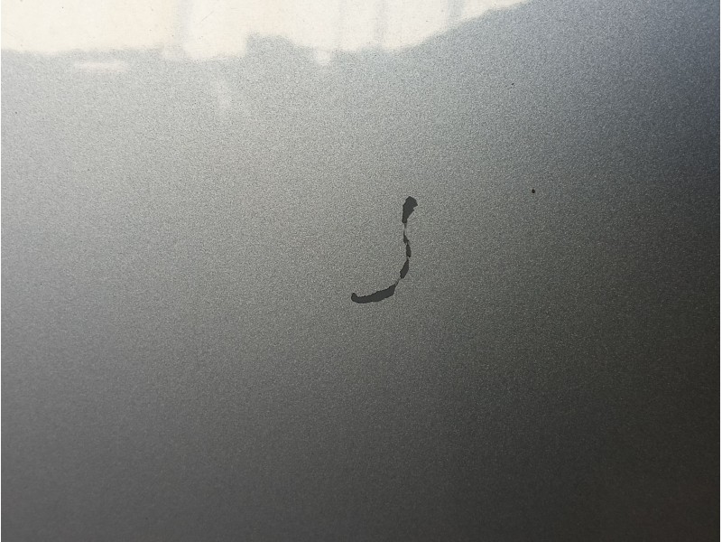 Recambio de puerta trasera derecha para seat exeo st (3r5) 2.0 tdi referencia OEM IAM 3R0833052  