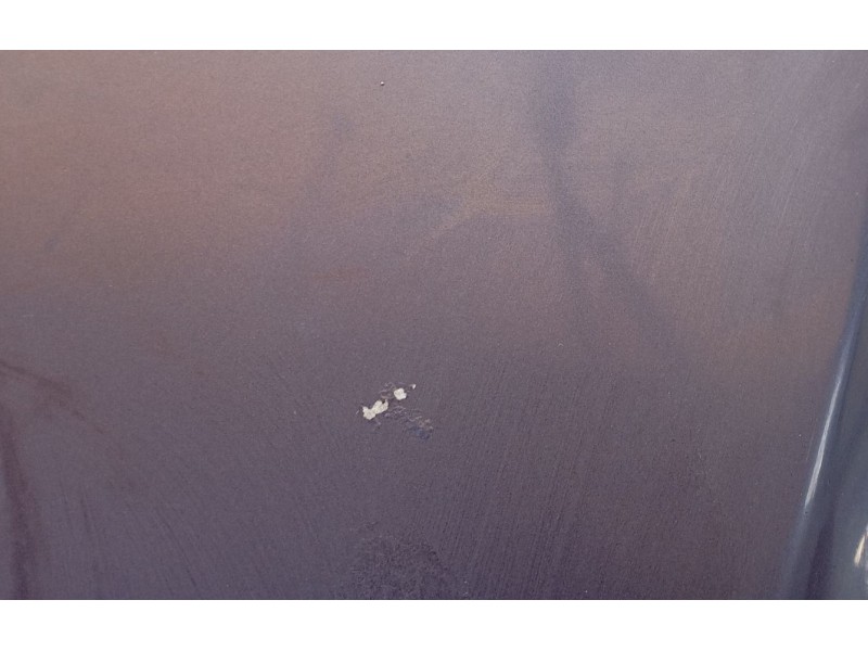 Recambio de capot para peugeot 307 (3a/c) 2.0 hdi 90 referencia OEM IAM   