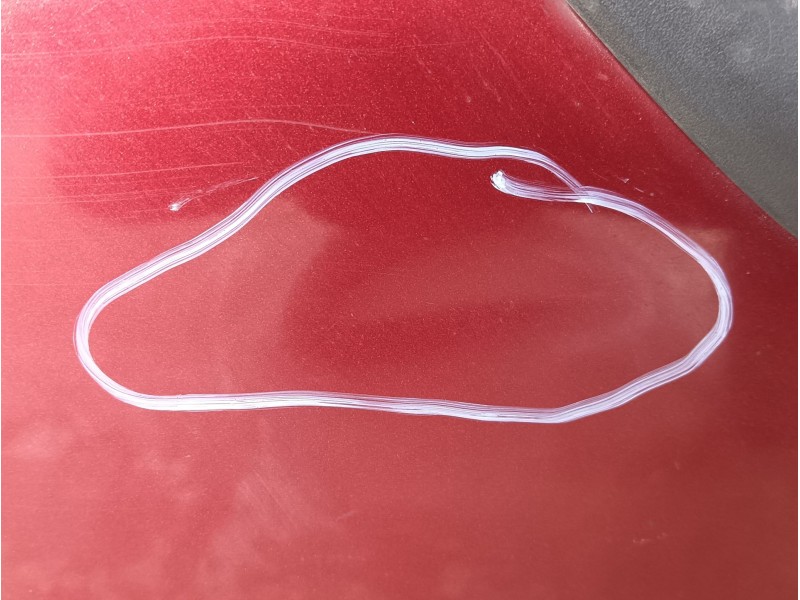 Recambio de puerta trasera derecha para ford focus i (daw, dbw) 1.6 16v referencia OEM IAM COMPLETA  