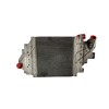 Recambio de intercooler para renault clio ii fase ii (b/cb0) authentique referencia OEM IAM 8200252209  