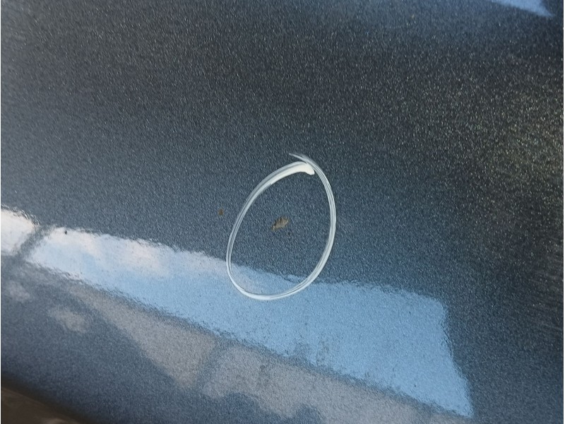 Recambio de puerta trasera derecha para bmw 3 (f30, f80) 320 d referencia OEM IAM 41009628762  