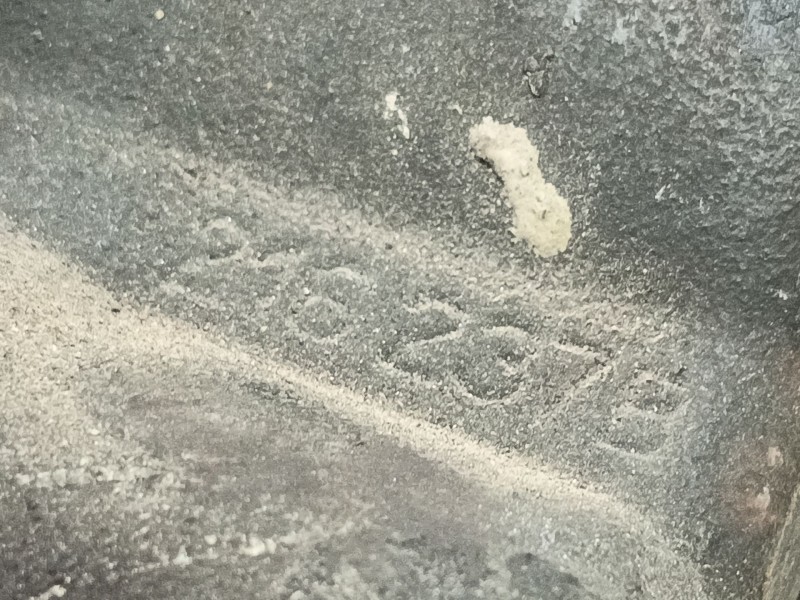 Recambio de pinza freno delantera izquierda para ford transit autobús (fd_ _, fb_ _, fs_ _, fz_ _, fc_ _) 2.0 di (f_e_, f_f_, f_