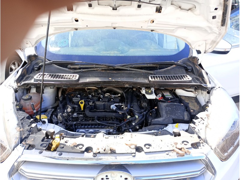 ford kuga ii (dm2) del año 2018