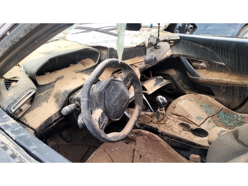 peugeot 2008 ii (ud_, us_, uy_, uj_, ur_, uc_) del año 2024