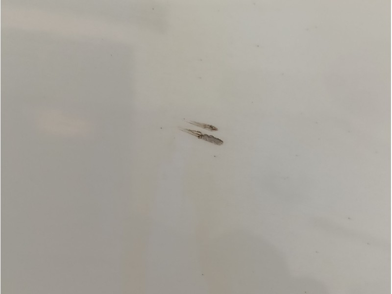 Recambio de aleta delantera derecha para jeep compass (mp, m6, mv, m7) 1.3 referencia OEM IAM 52151851  