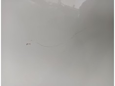 Recambio de capot para bmw 1 (f20) 116 d referencia OEM IAM    2