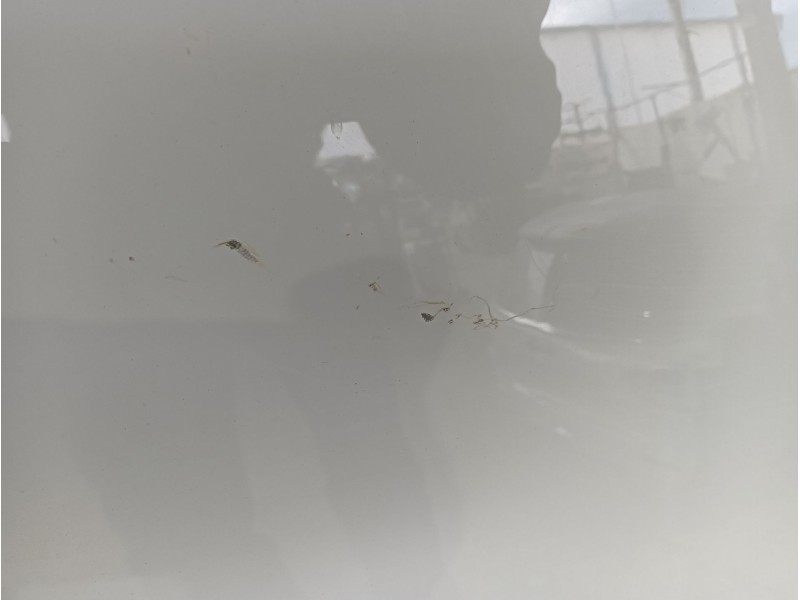 Recambio de capot para bmw 1 (f20) 116 d referencia OEM IAM   