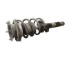 Recambio de amortiguador delantero izquierdo para bmw 1 (e87) 120 d referencia OEM IAM 31316768919  
