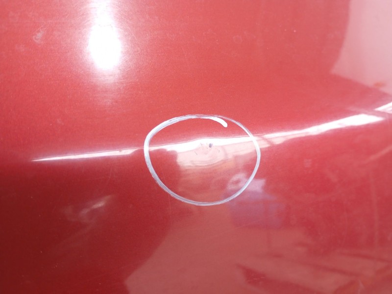 Recambio de puerta trasera derecha para skoda octavia ii (1z3) 2.0 tdi 16v referencia OEM IAM 1Z5833056  