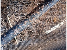 Recambio de radiador agua para bmw x4 (f26) xdrive 20 d referencia OEM IAM   