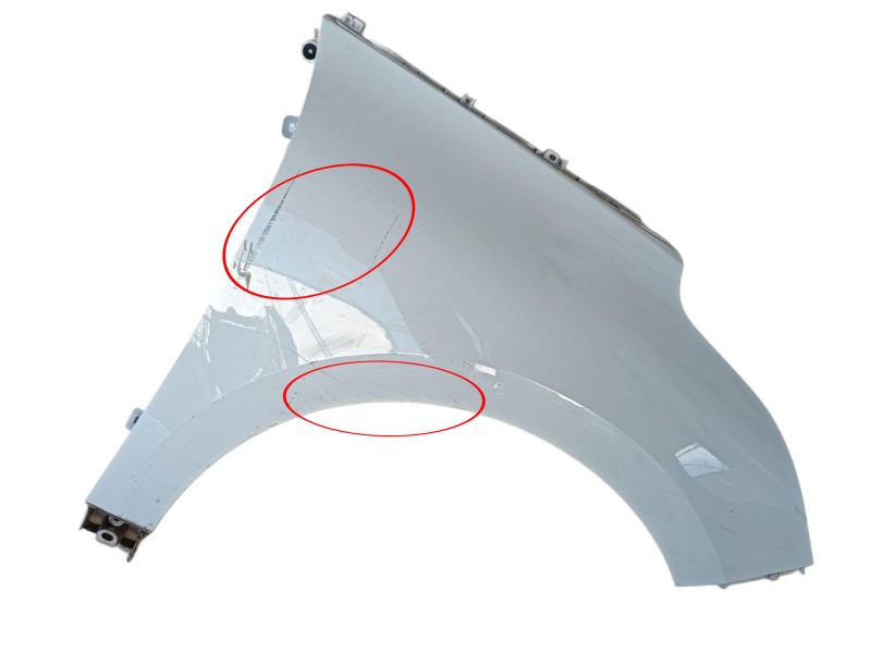 Recambio de aleta delantera derecha para renault scénic iv (j9_) 1.5 dci 110 referencia OEM IAM 631009903R  