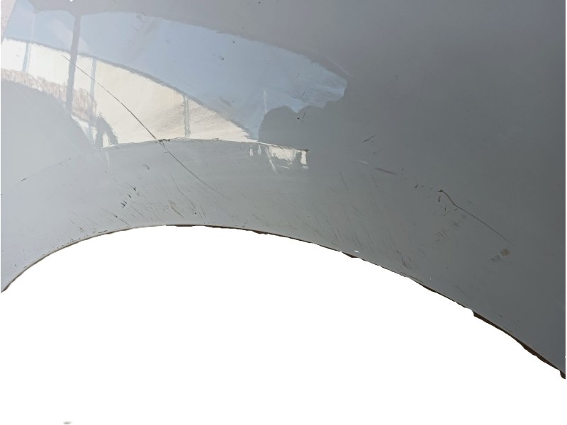 Recambio de aleta delantera derecha para renault scénic iv (j9_) 1.5 dci 110 referencia OEM IAM 631009903R  