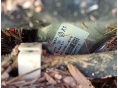 Recambio de servofreno para renault austral tce 140 referencia OEM IAM   