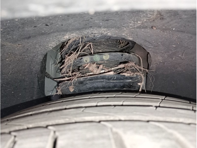 Recambio de amortiguador delantero derecho para volkswagen tiguan (ad1, ax1) 1.5 tsi referencia OEM IAM   