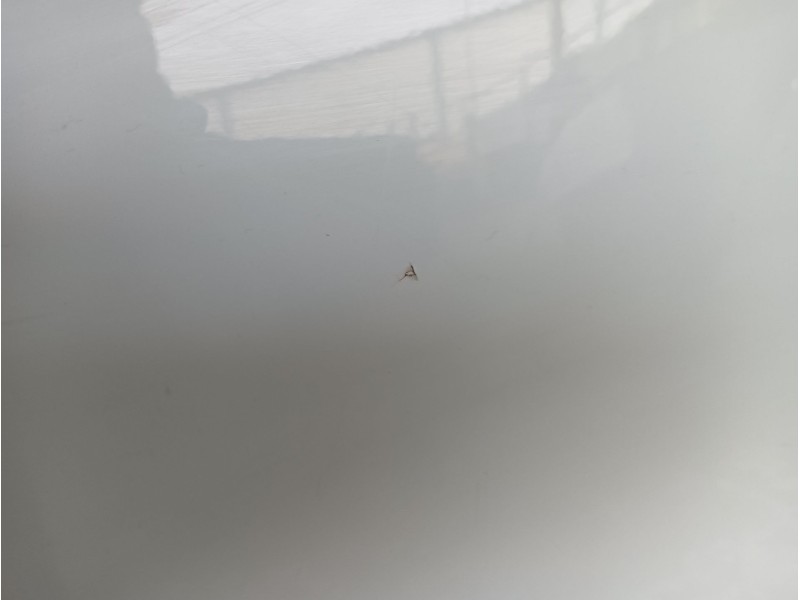 Recambio de puerta trasera derecha para jeep compass (mp, m6, mv, m7) 1.3 referencia OEM IAM 52243979  