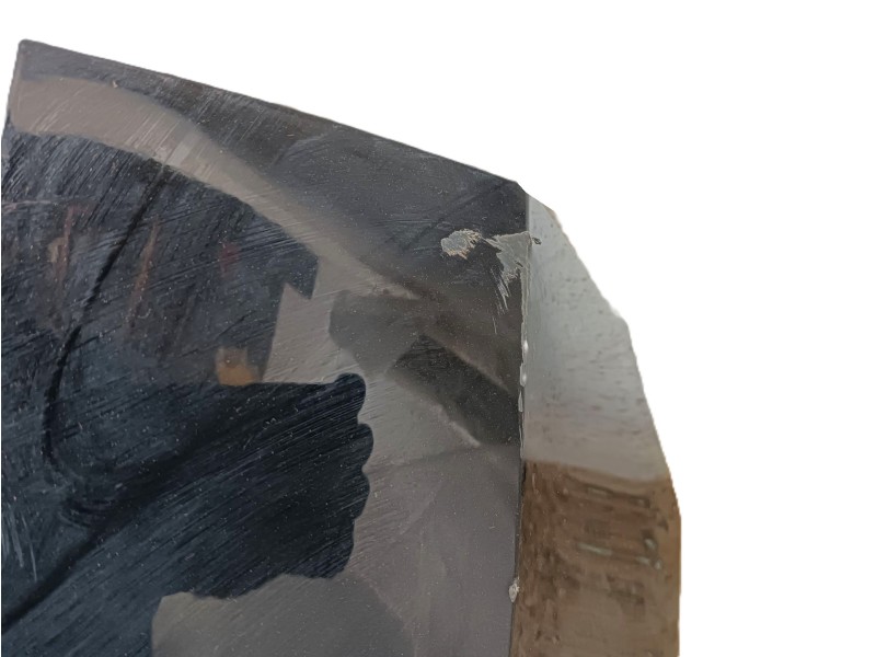 Recambio de paragolpes trasero para volkswagen tiguan (ad1, ax1) 1.4 tsi referencia OEM IAM 5NA807421GRU  