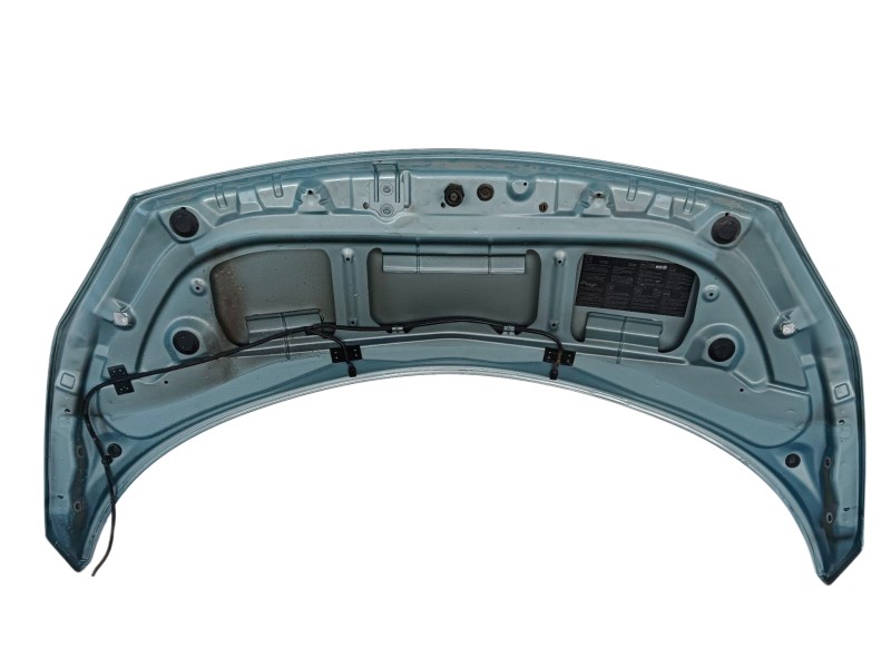 Recambio de capot para renault scénic ii (jm0/1_) 1.5 dci (jm1e, jm16) referencia OEM IAM   