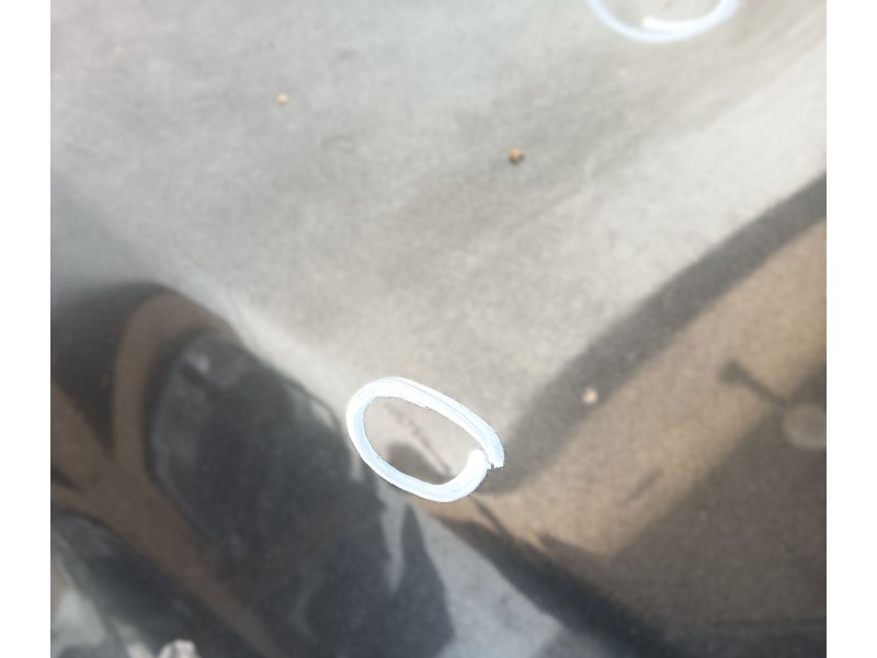 Recambio de capot para ford mondeo iv (ba7) 1.8 tdci referencia OEM IAM 1469592  