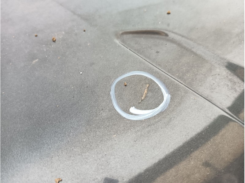 Recambio de capot para ford mondeo iv (ba7) 1.8 tdci referencia OEM IAM 1469592  