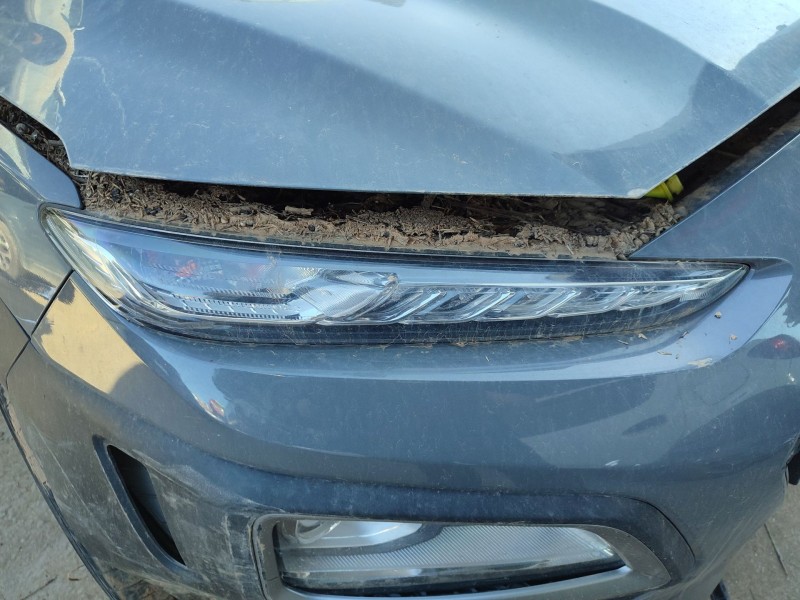 Recambio de piloto delantero derecho para hyundai kona (os, ose, osi) 1.0 t-gdi referencia OEM IAM   