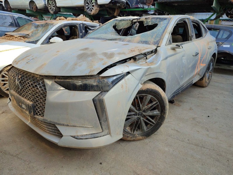 ds ds 4 ii (fr_, fb_, f3_) del año 2022