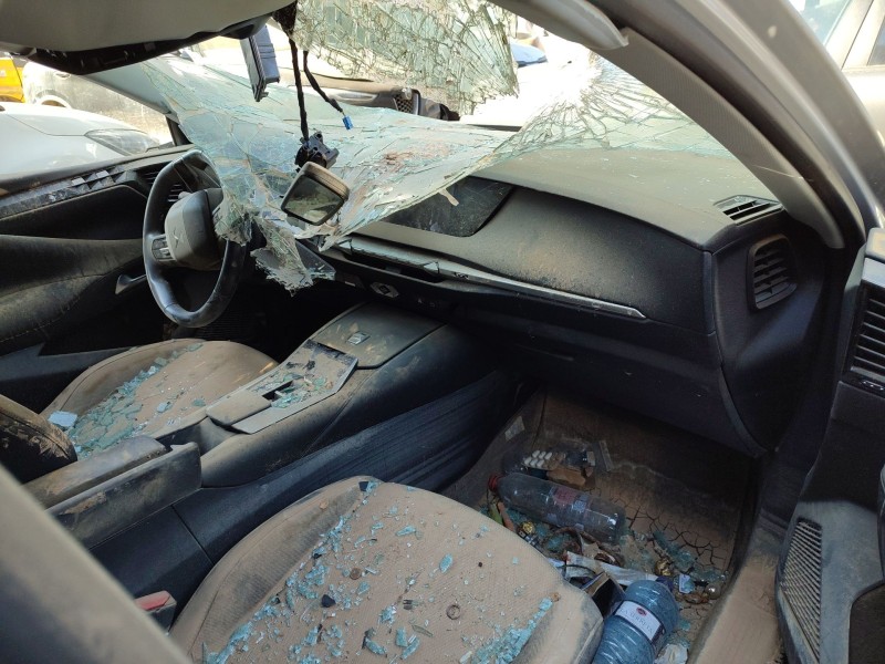 ds ds 4 ii (fr_, fb_, f3_) del año 2022