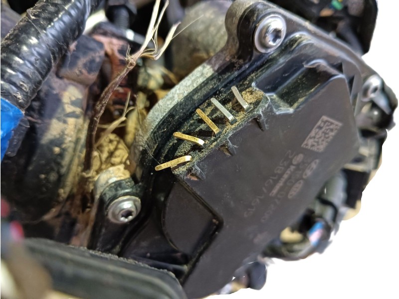 Recambio de motor completo para hyundai kona (os, ose, osi) 1.0 t-gdi hybrid 48v referencia OEM IAM 94AQ107F01 G3LE 