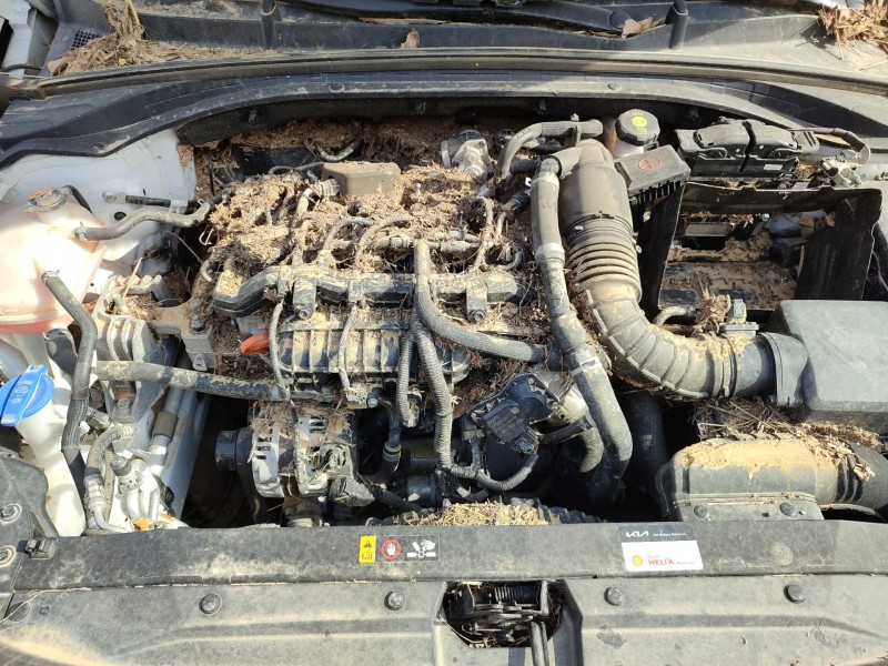 Recambio de caja cambios para kia ceed (cd) 1.0 t-gdi referencia OEM IAM   