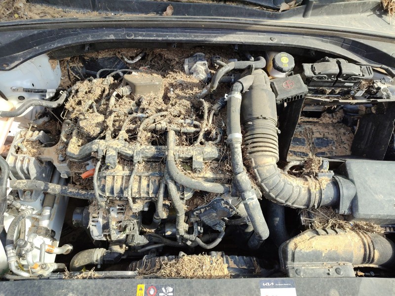 Recambio de motor completo para kia ceed (cd) 1.0 t-gdi referencia OEM IAM   