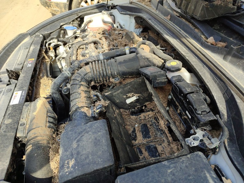 Recambio de motor completo para kia ceed (cd) 1.0 t-gdi referencia OEM IAM   