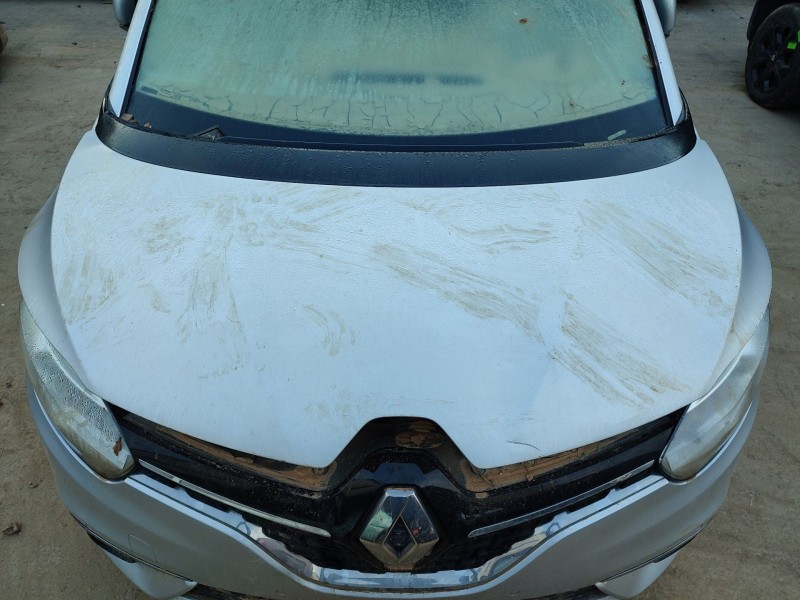 Recambio de capot para renault megane iv hatchback (b9a/m/n_) 1.2 tce 130 (b9mr) referencia OEM IAM   