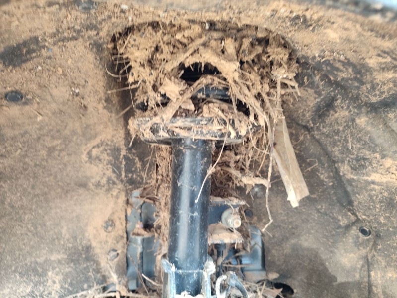 Recambio de amortiguador delantero izquierdo para ford mustang mach-e (cgw) ev 4x4 referencia OEM IAM   