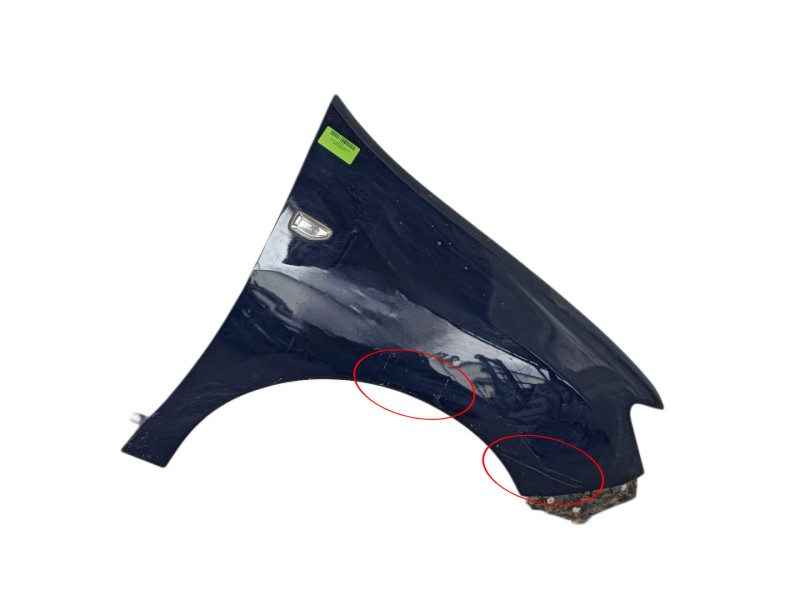 Recambio de aleta delantera derecha para dacia sandero ii 1.2 referencia OEM IAM 631005522R  